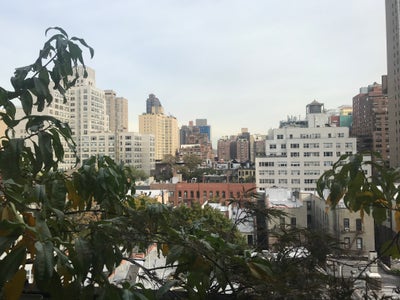 Seeking Mature Roommate Main Photo