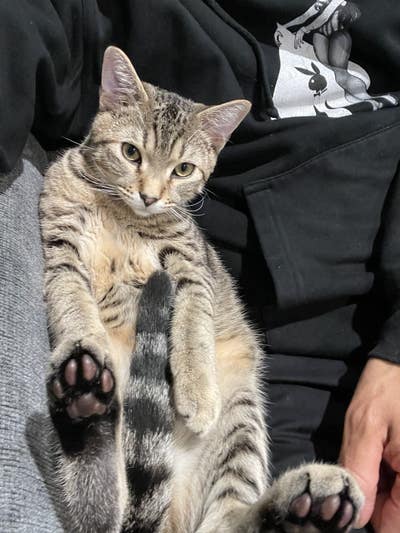 Looking to rent my living room or room! Main Photo