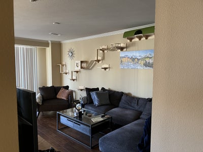 Room for Rent Right off Campus Main Photo