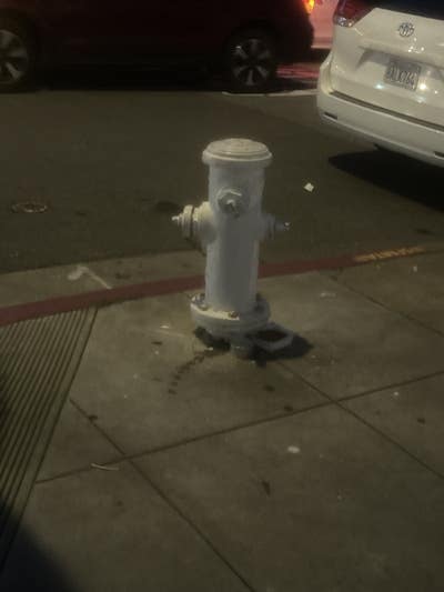 Room wanted in Oakland, Alameda County, CA Main Photo