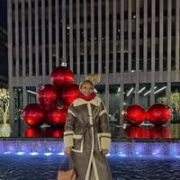 Room wanted in Brooklyn, NY Main Photo