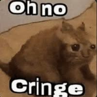 Room wanted in NYC Main Photo