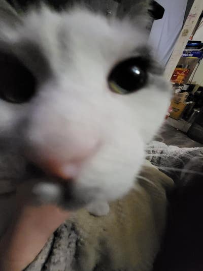 Room wanted in New York Main Photo