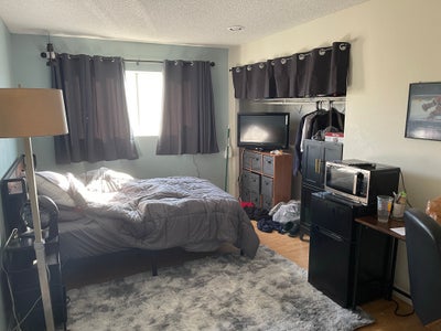 Room for rent in HB  Main Photo