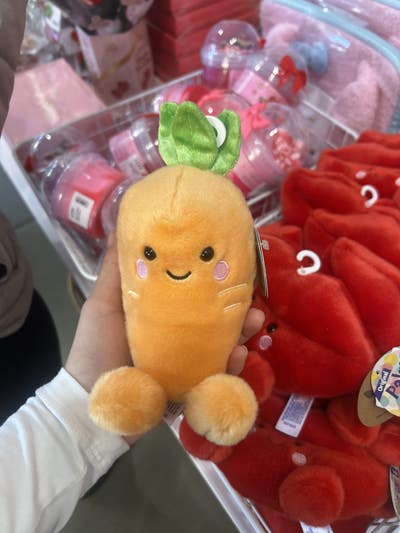 Eighteen, Female, Wants Room, Budget $590 Main Photo