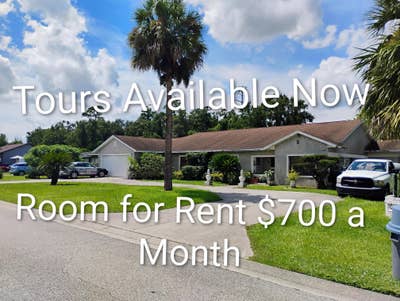 Room available immediately  Main Photo