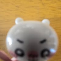 Eighteen F Needs Room, Budget $1000, Move Soon Main Photo