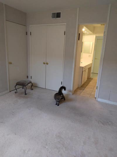 Private Room with en suite bathroom in Luxury cond Main Photo