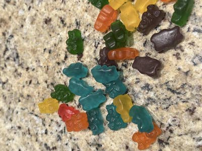 Female, 28, Wants Room, $1800, Move Soon Main Photo