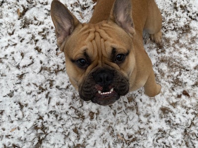 Room wanted in New Jersey Main Photo