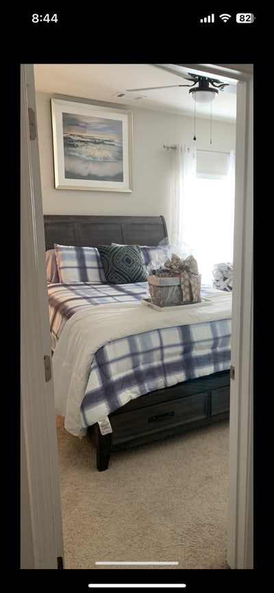 Professional Wanted - 1 bedroom 1 bathroom Main Photo