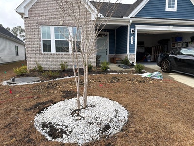 Looking for roommate  Main Photo