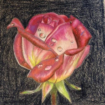 Room wanted in Boston Main Photo