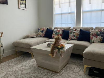 Platonic roommate  Main Photo