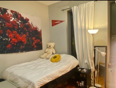 Large Sunny Room in Bushwick near Wilson Ave L 🌞 Main Photo