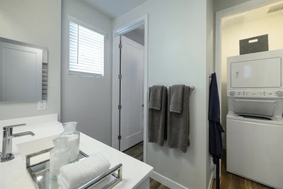 Roommate Needed!  Main Photo