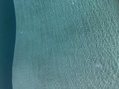 Room wanted in 92037 Main Photo