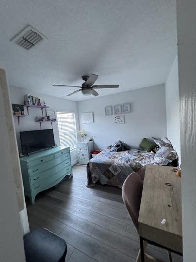 Female Roommate Needed  Main Photo