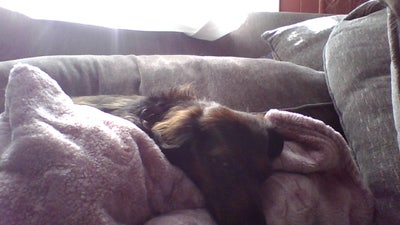 Room wanted in concord, ca Main Photo