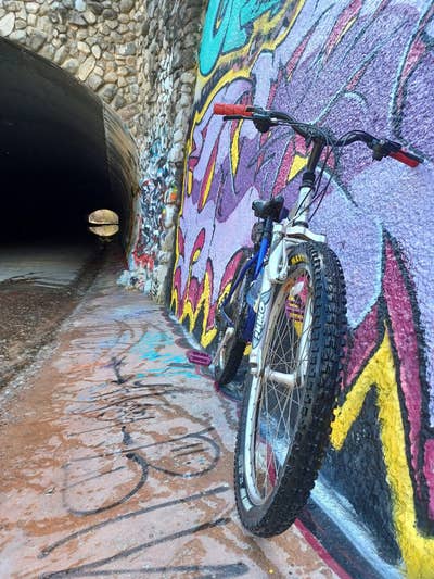 $1000 Budget, Female Roommate, Move Soon Main Photo