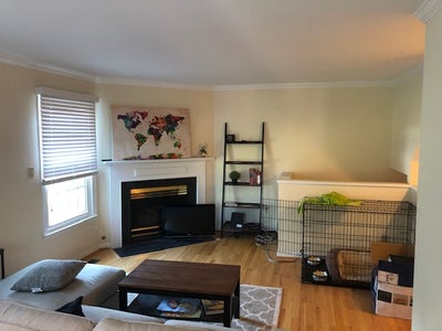 Amazing Room for rent! Main Photo