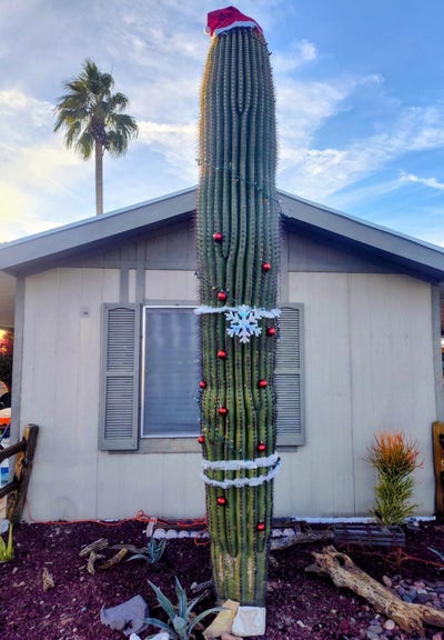 Exchange remodel for portion of rent Main Photo