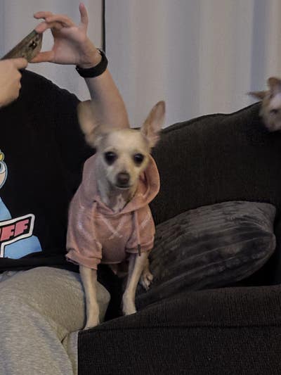 Budget $800, Any Age, Ready To Move In Now Main Photo