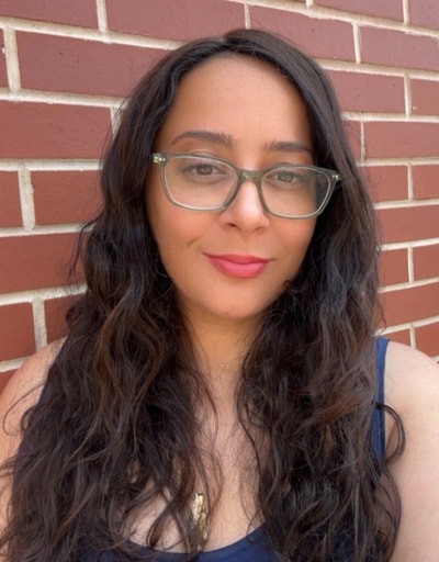 Room wanted in Chicago Main Photo