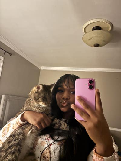 Room wanted in Connecticut Main Photo