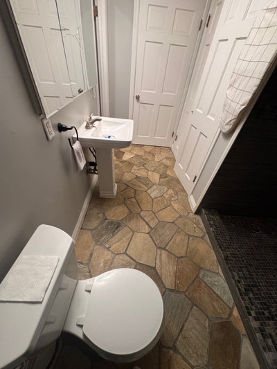 Medium sized  Main Photo