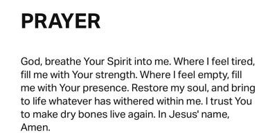 Room wanted in Broward County, FL Main Photo