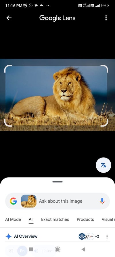 Room wanted in New Jersey Main Photo