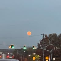 Room wanted in Atlanta Main Photo