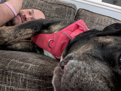 $1100 Budget, Move Now, Any Age, Any Gender Main Photo