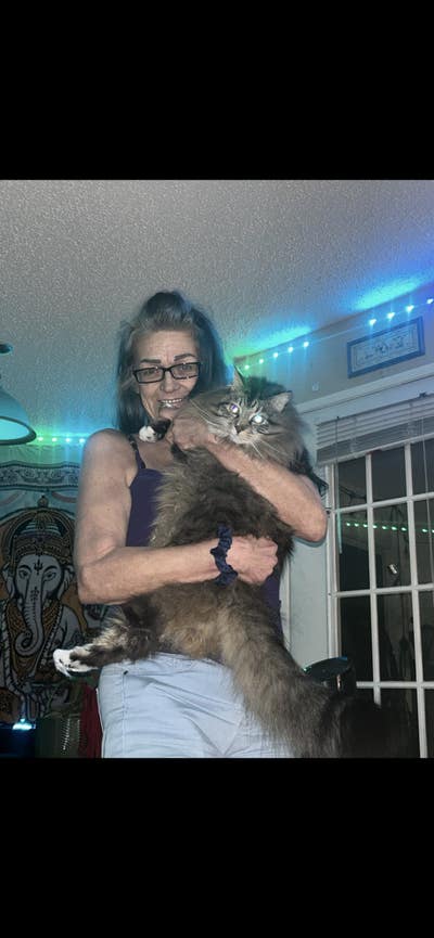 Room wanted in San Diego Main Photo