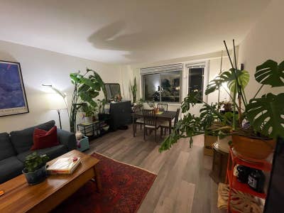 Welcoming and Professional Forest Hills Home Main Photo