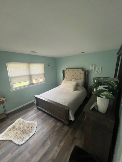 Pet loving roommate wanted Main Photo