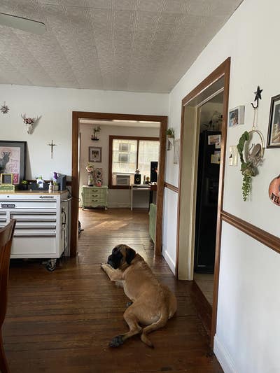 Room in shared home with pets for rent now!  Main Photo