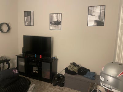 Roommate wanted Main Photo