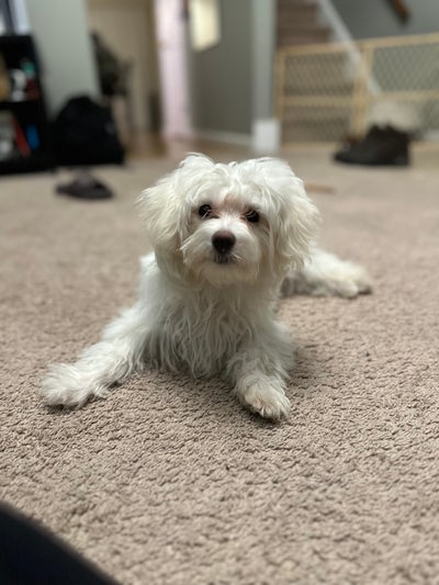 Room wanted in Stamford, CT Main Photo