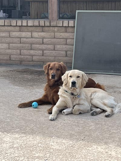 Room with private bathroom Main Photo