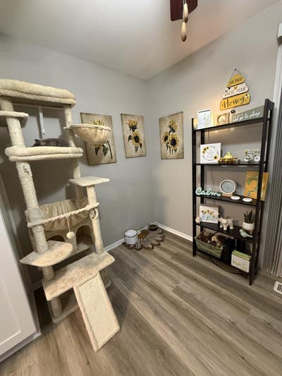 Room for rent with your own bathroom  Main Photo