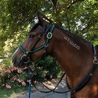 Professional Female seeks a large room Main Photo