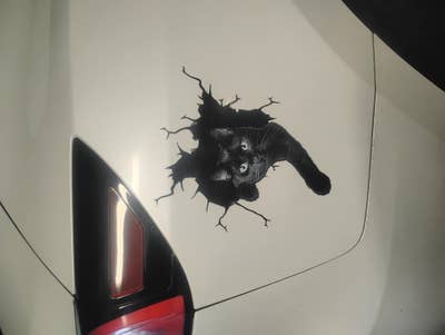 Room wanted in New Jersey Main Photo