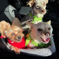 Room wanted in El Cajon, CA Main Photo