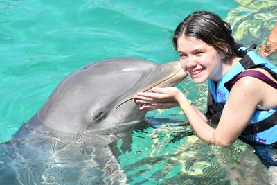 Room wanted in San Diego Main Photo