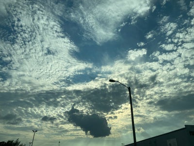 Room wanted in San Diego Main Photo