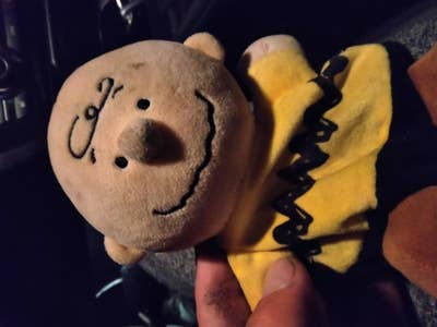 Budget $1200, Any Age, Ready To Move In Main Photo