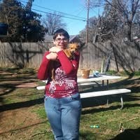 Room wanted in New Jersey Main Photo