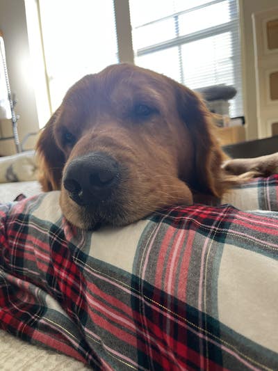 Budget $800, Any Age, Ready To Move In Now Main Photo